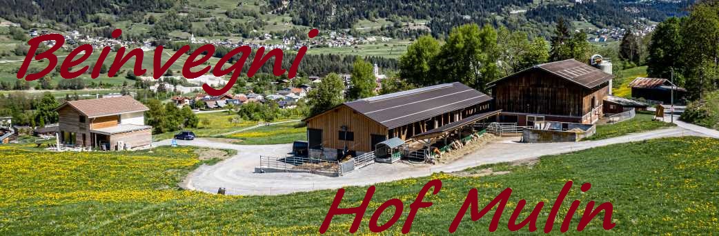 Hof Mulin in verschneiter Berglandschaft